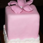 00 Pink flower and lace mini cake